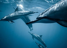 世预赛官网app下载-湖人主场狂输36分，球迷：这阵容连2K都认不全